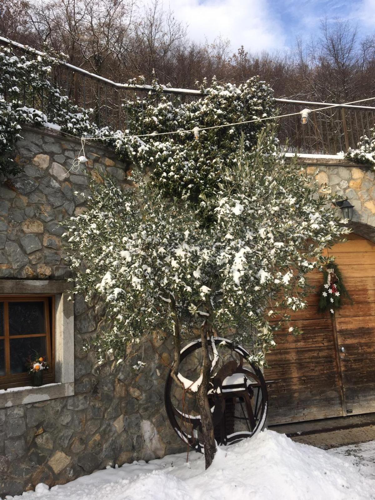 Вілла Agritur Maso Carpene Роверето Екстер'єр фото